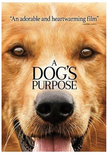 dog's purpose